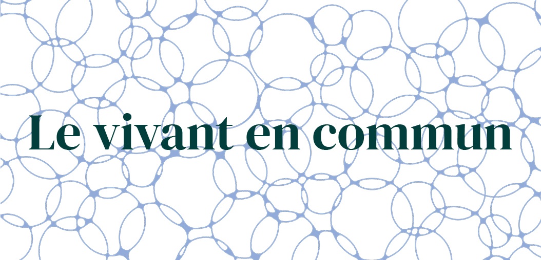 Une nouvelle identité visuelle pour le réseau des CPIE !