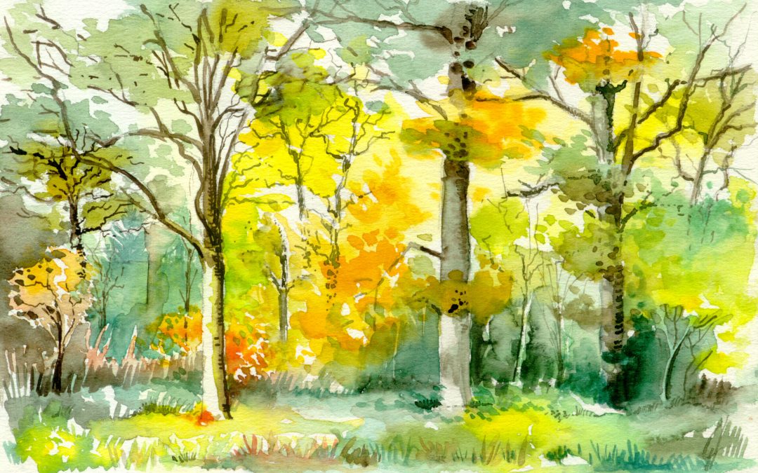 LES PROCHAINS RDV DANS L&rsquo;ARBORETUM D&rsquo;AMANCE