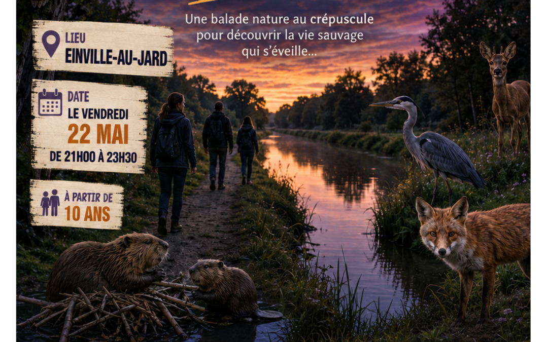 ENTRE CHIEN ET LOUP AU BORD DU CANAL