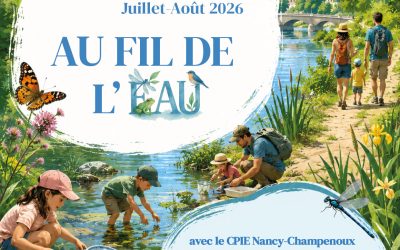 BALADES NATURE « Au fil de l’eau »