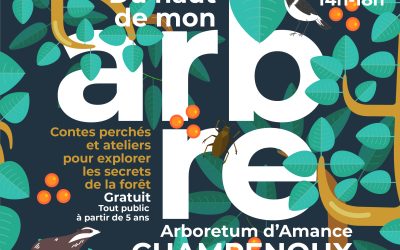 DU HAUT DE MON ARBRE